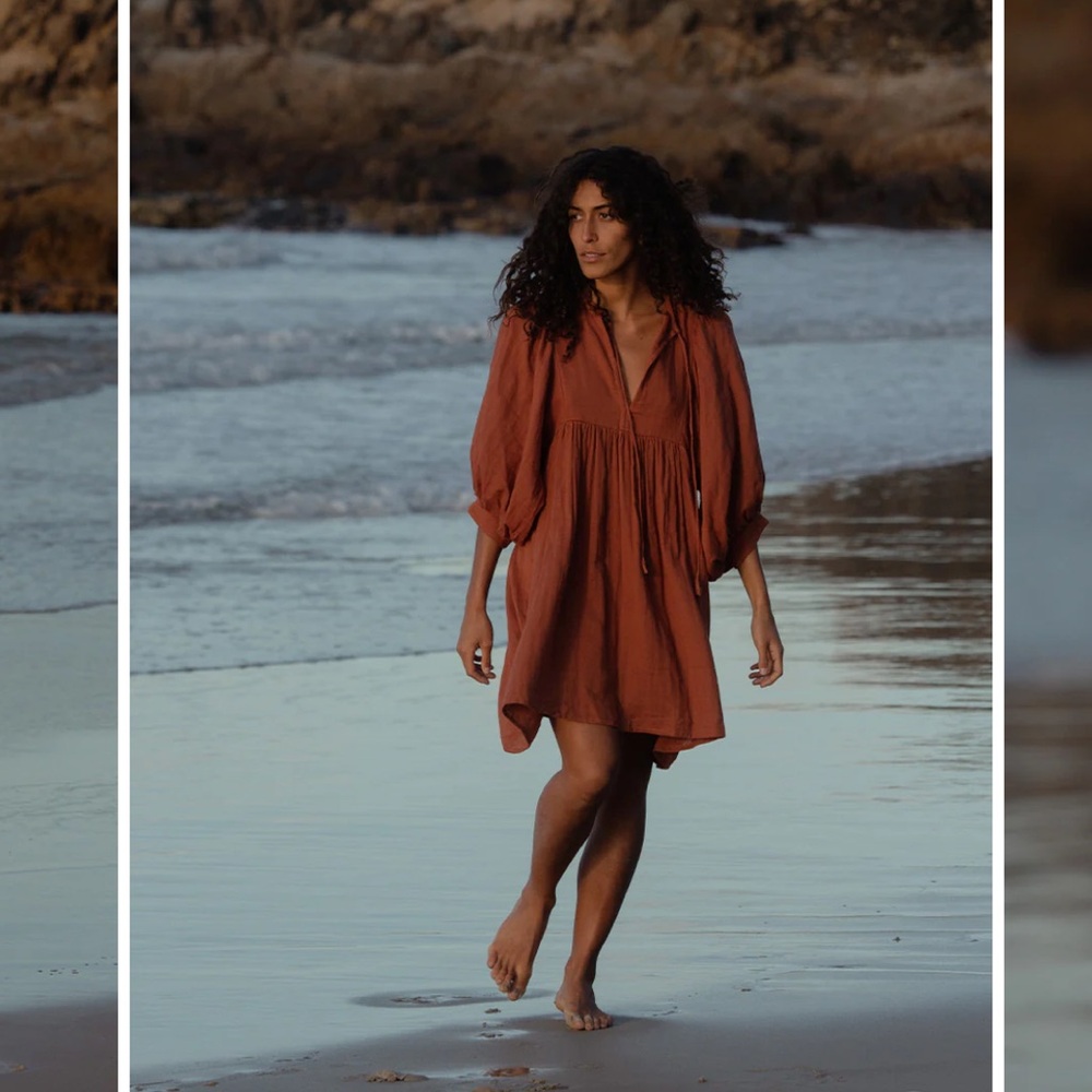 Daughters of India Terracotta Dress